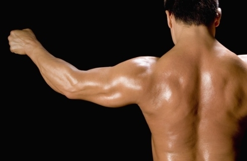 Gym Back Exercise Guide: Building a Broader and Stronger Back