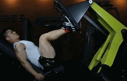 Enhance Leg Strength with the Best Fitness Equipment
