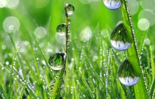 Rainwater is the second of the twenty-four solar terms in the Chinese lunar calendar